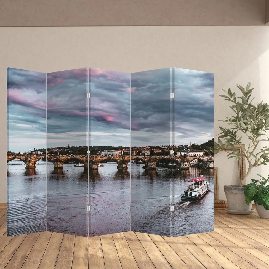 Paravan - Vltava (210x170 cm)