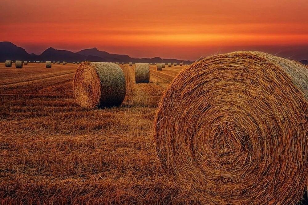 Fototapet baloturi de fân