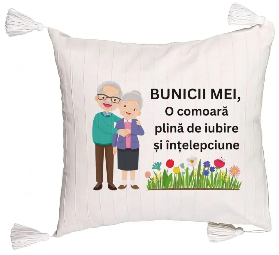 Perna Decorativa cu Franjuri pentru Bunici 4, 45x45 cm, Cu fermoar