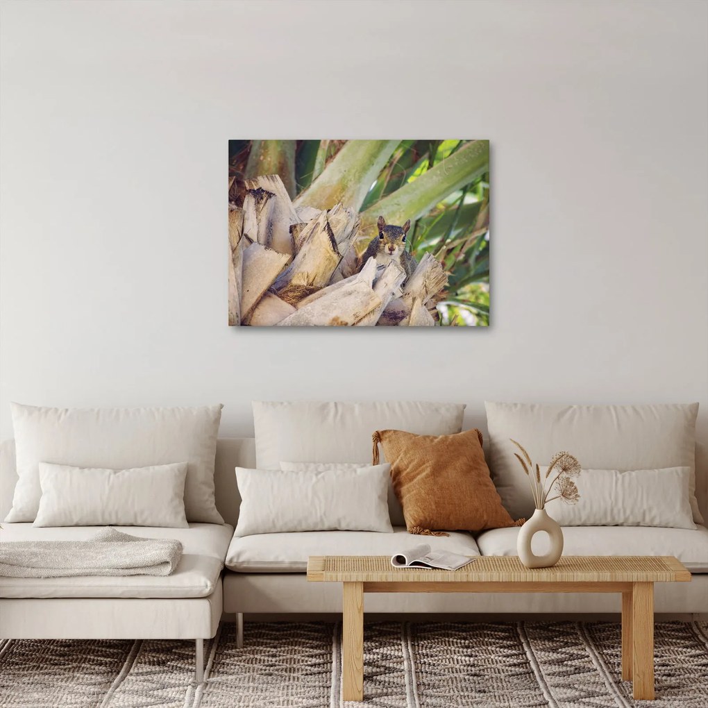 Tablou cu veverița în copaci (70x50 cm)