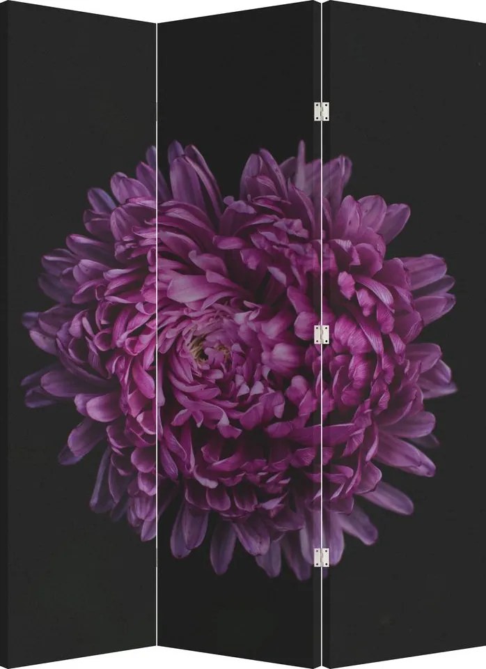 Paravan - Floare violetă (126x170 cm)