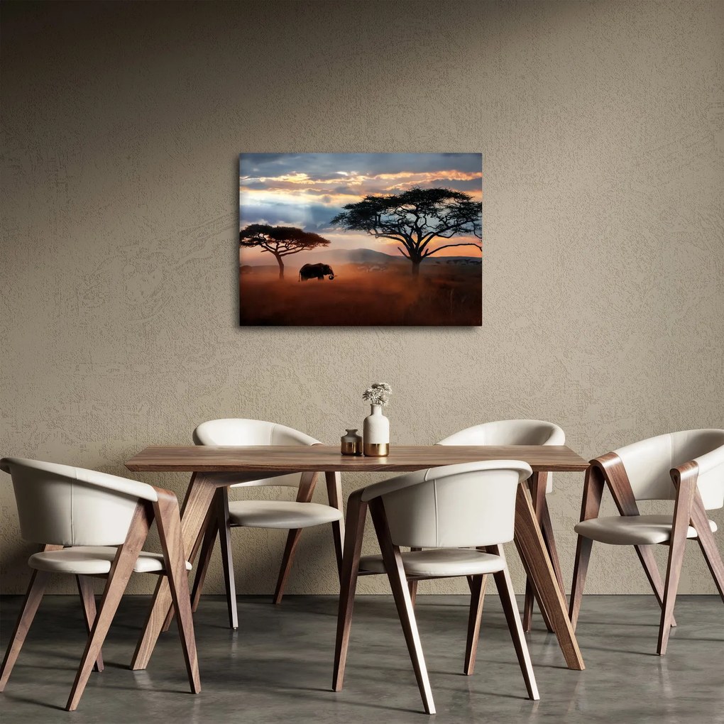 Tablou - Parcul Național Serengeti, Tanzania, Africa (70x50 cm)