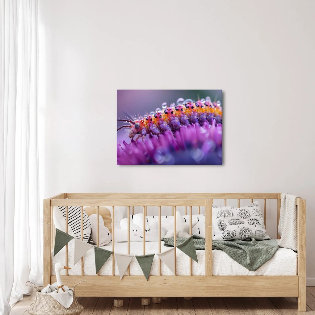 Tablou - Caterpillar (70x50 cm)