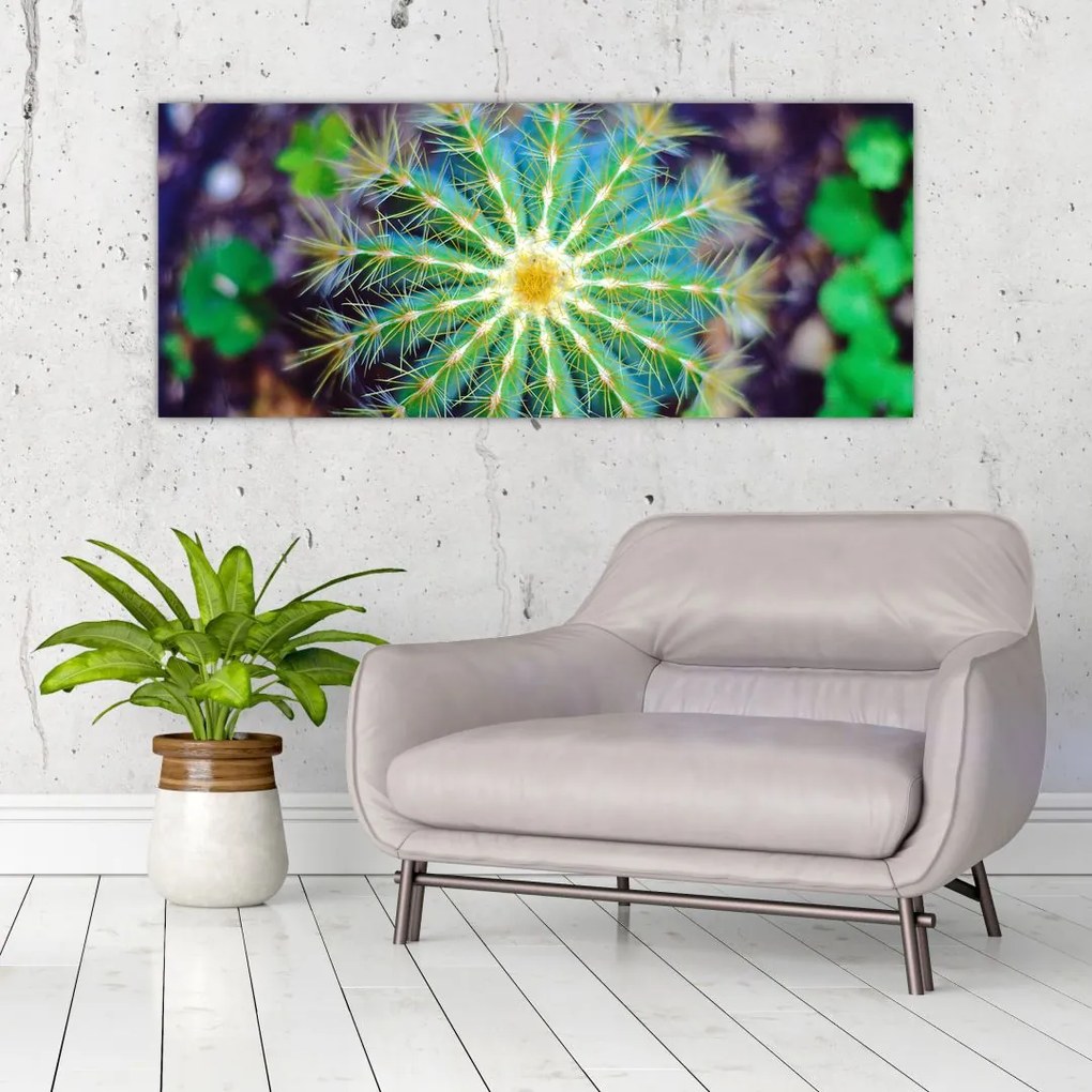 Tablou cu cactus (120x50 cm)