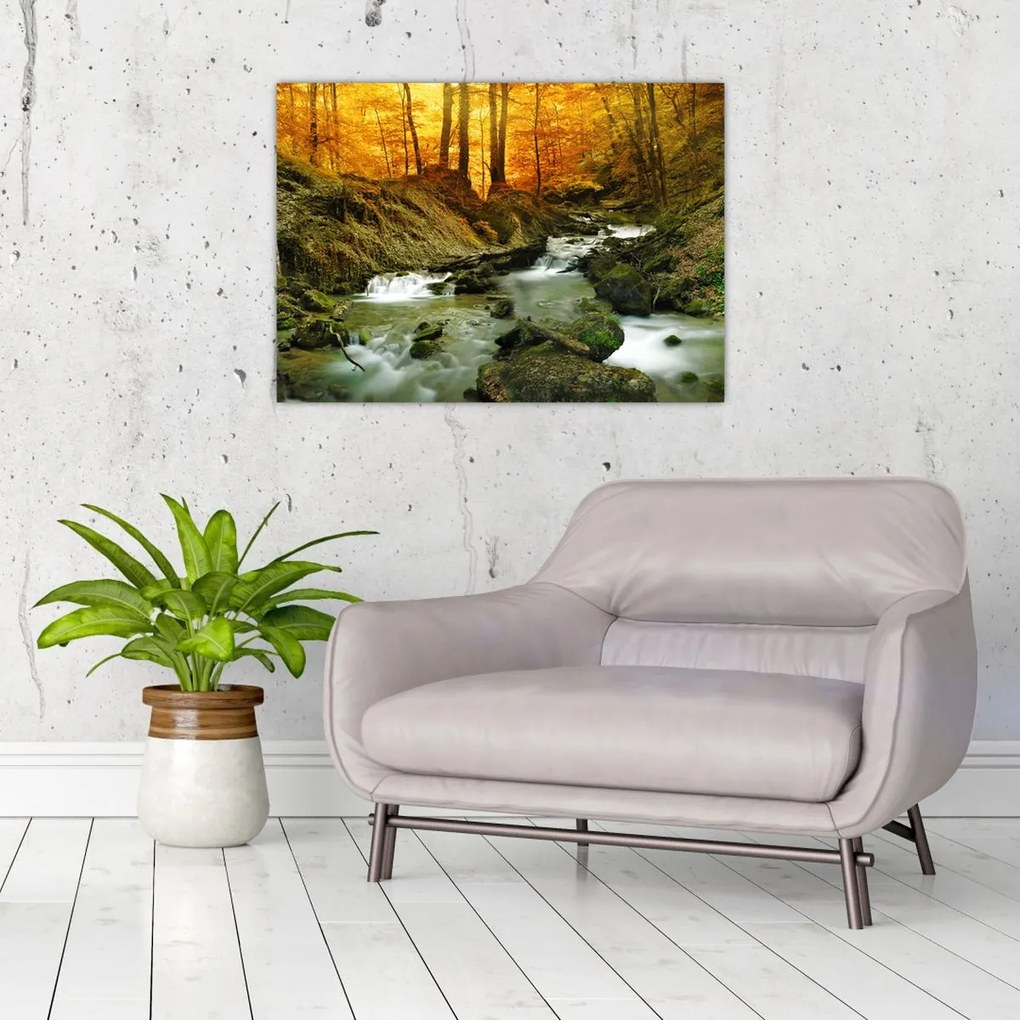 Tablou - Pădure (70x50 cm)