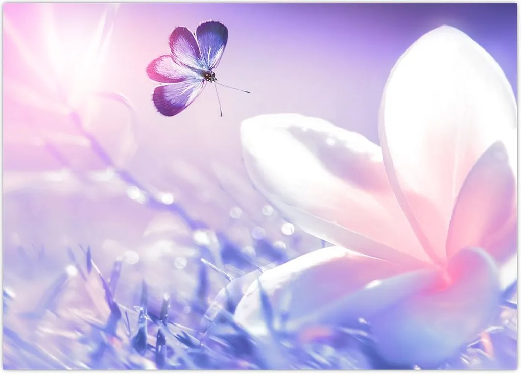 Tablou - Fluture lângă floare (70x50 cm)