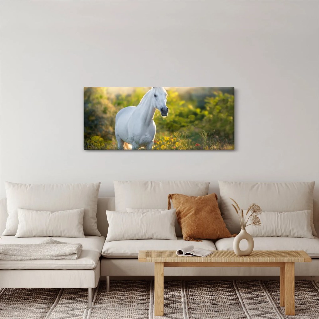 Tablou - Cal alb în poină (120x50 cm)