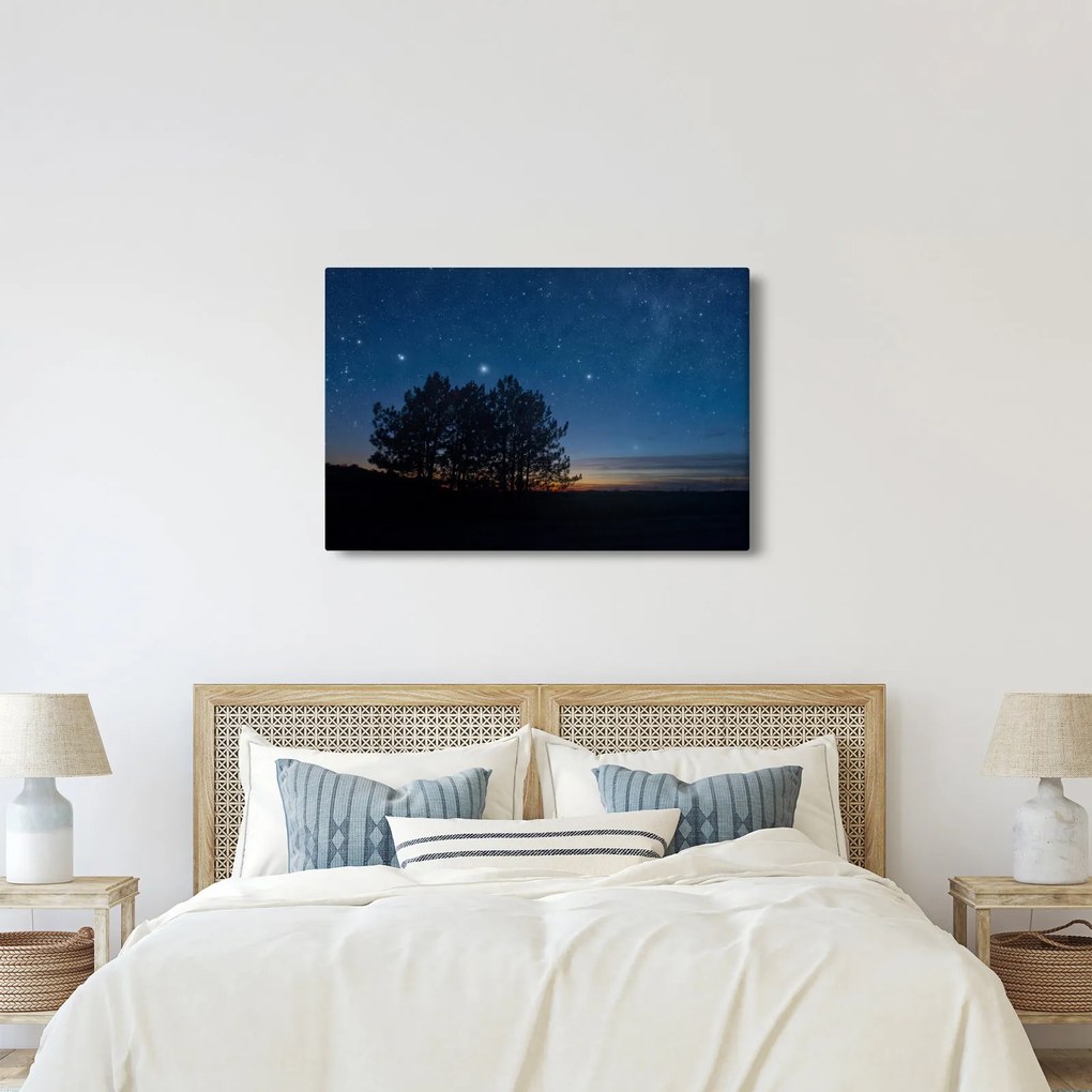 Tablou cu copaci noapte (90x60 cm)