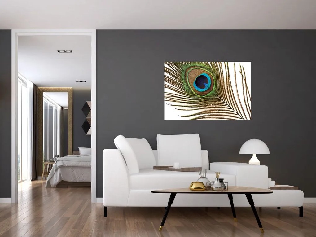 Tablou cu pene de păun (90x60 cm)