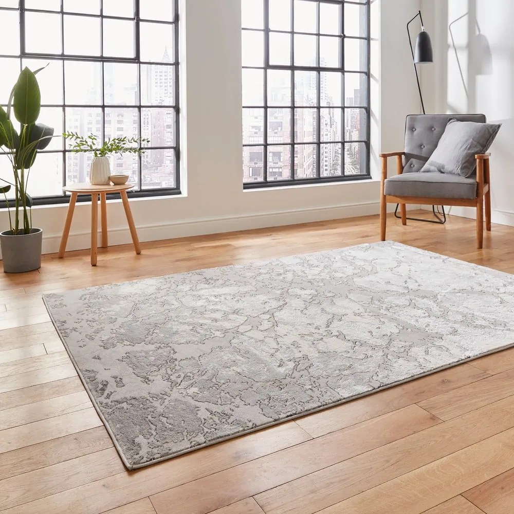 Covor gri deschis/crem 200x290 cm Apollo – Think Rugs