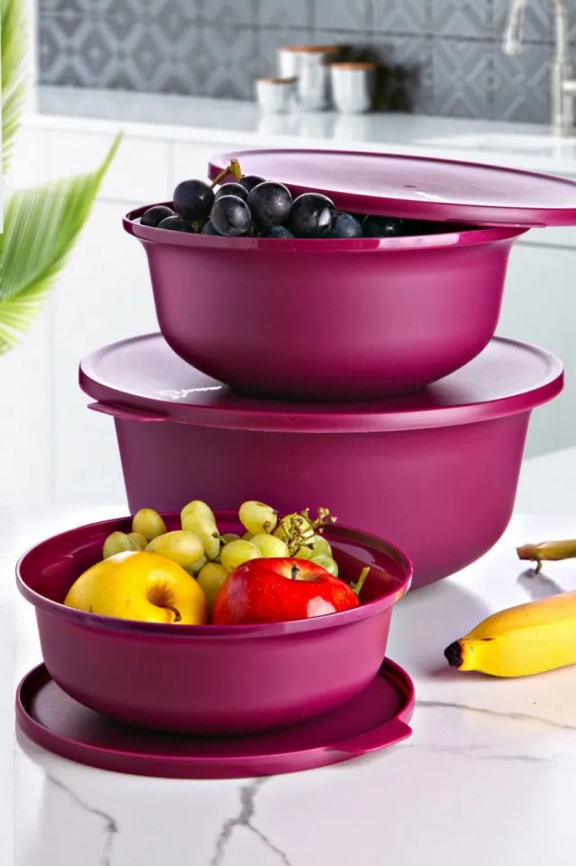 Set 3 Caserole, Plastic fara BPA, 2374, Violet