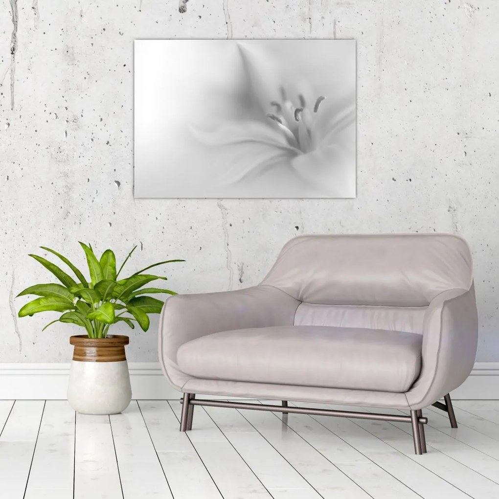 Tablou pe sticlă - Crin delicat (70x50 cm)
