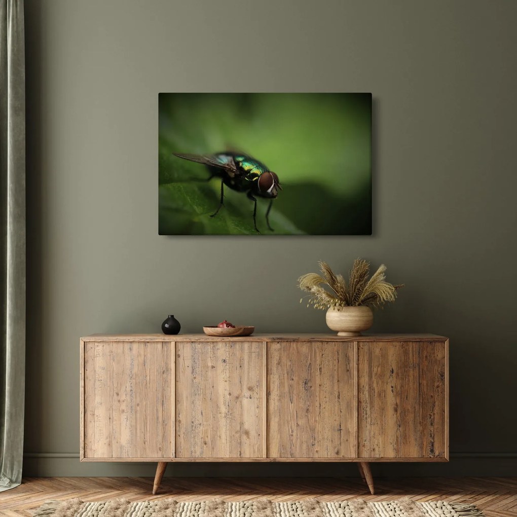 Tablou - Musca (90x60 cm)