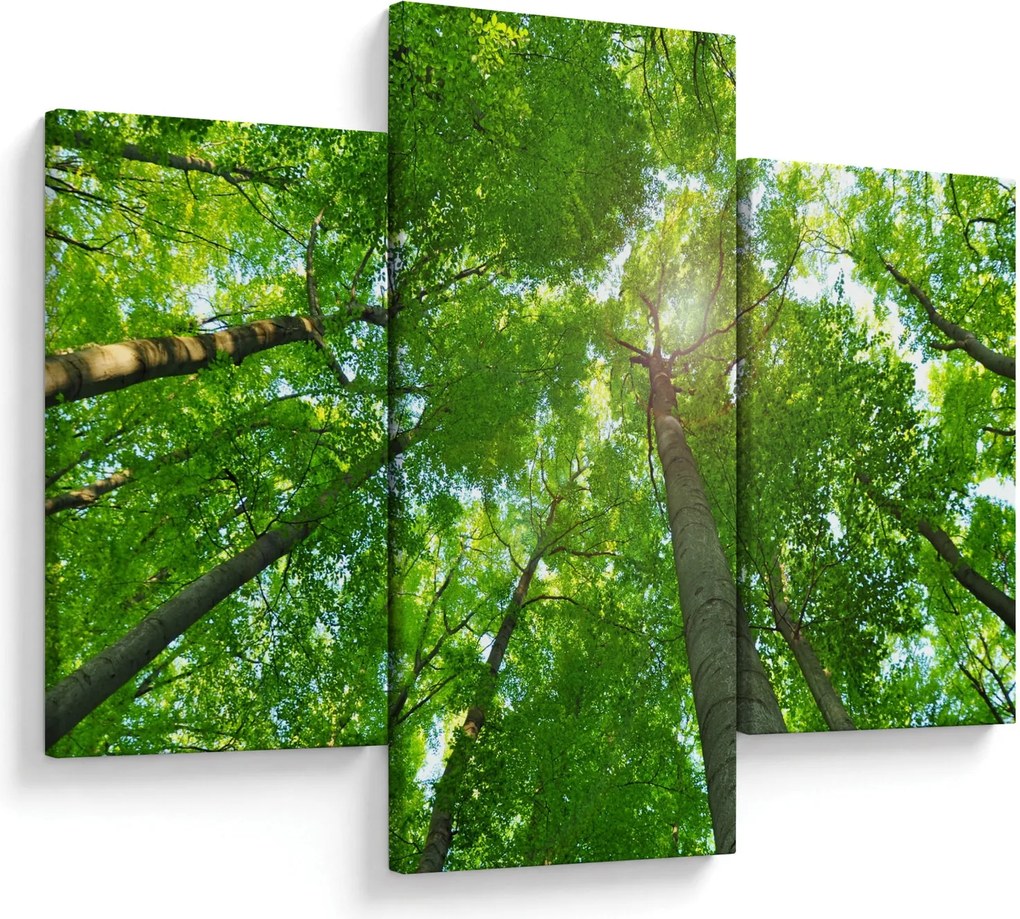 Tablou - Lunca (90x60 cm)
