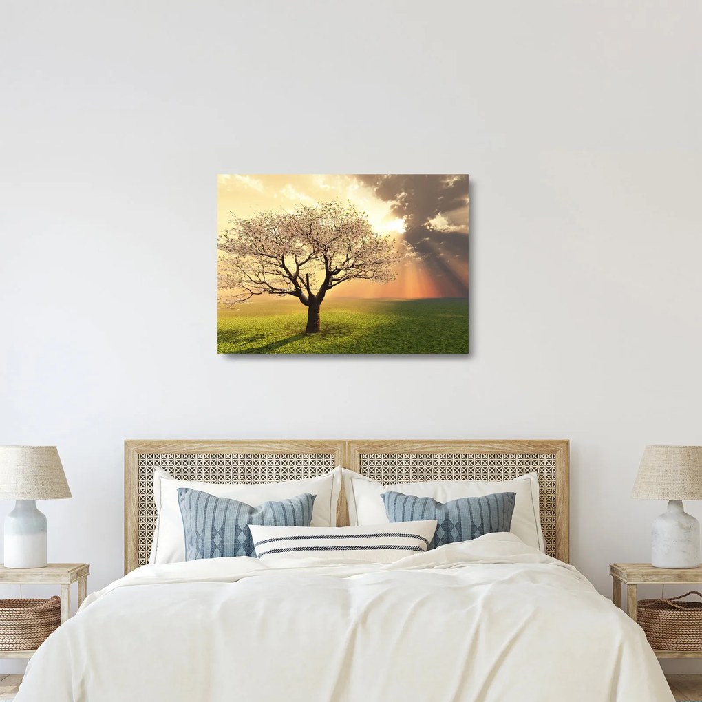 Tablou pe sticlă cu copac pe luncă (70x50 cm)