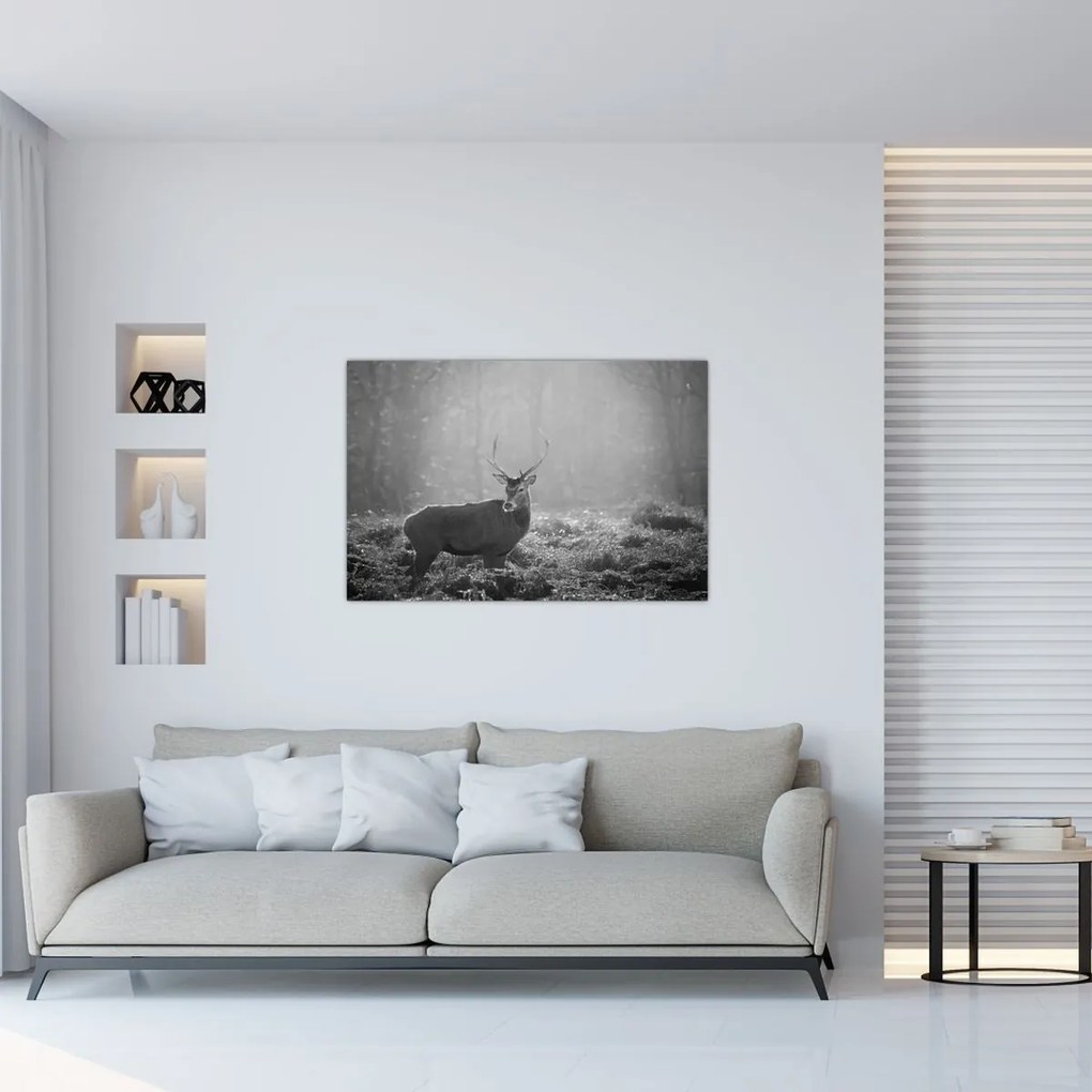 Tablou - Căprioare in pădure,alb-negru (90x60 cm)