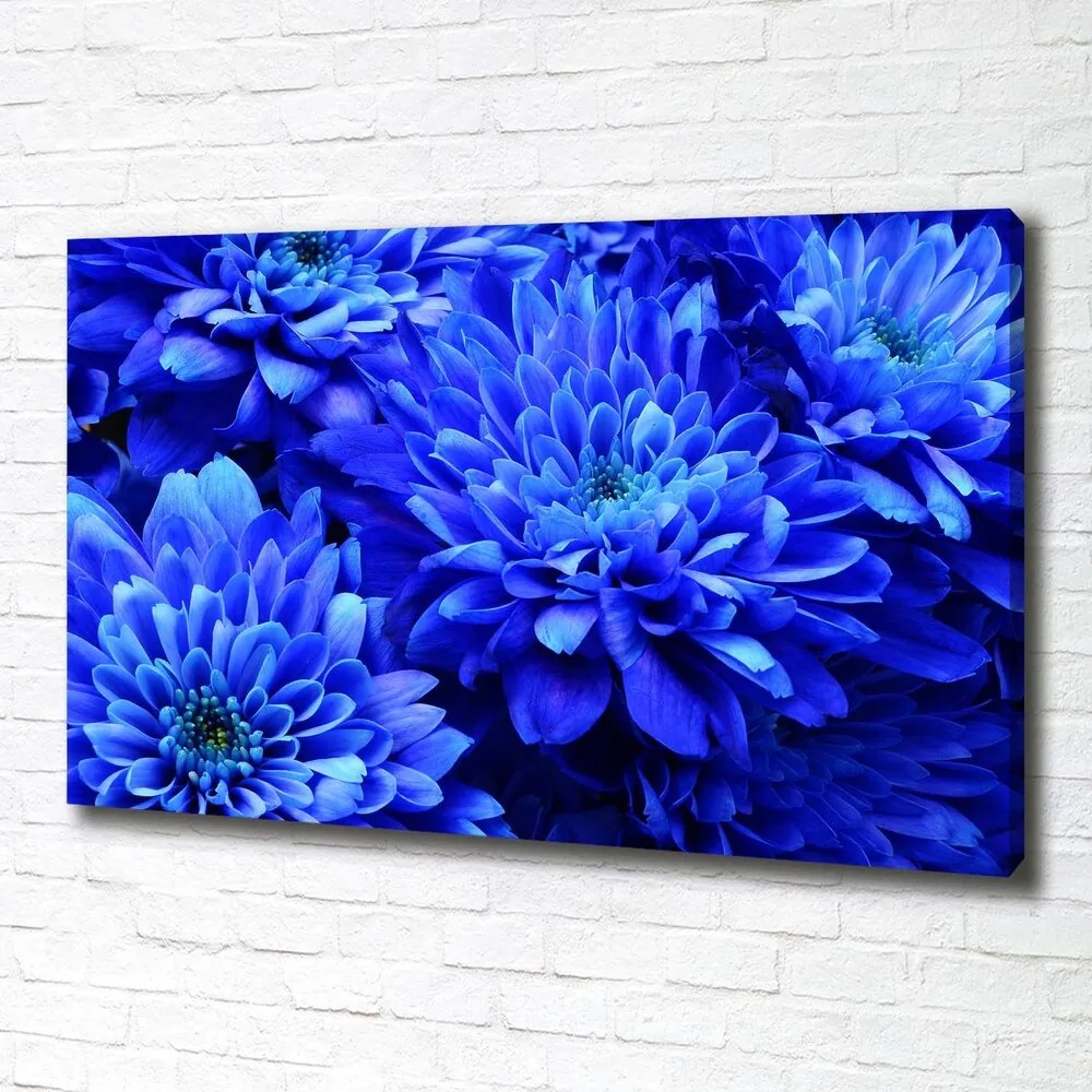 Tablou canvas Aster albastru