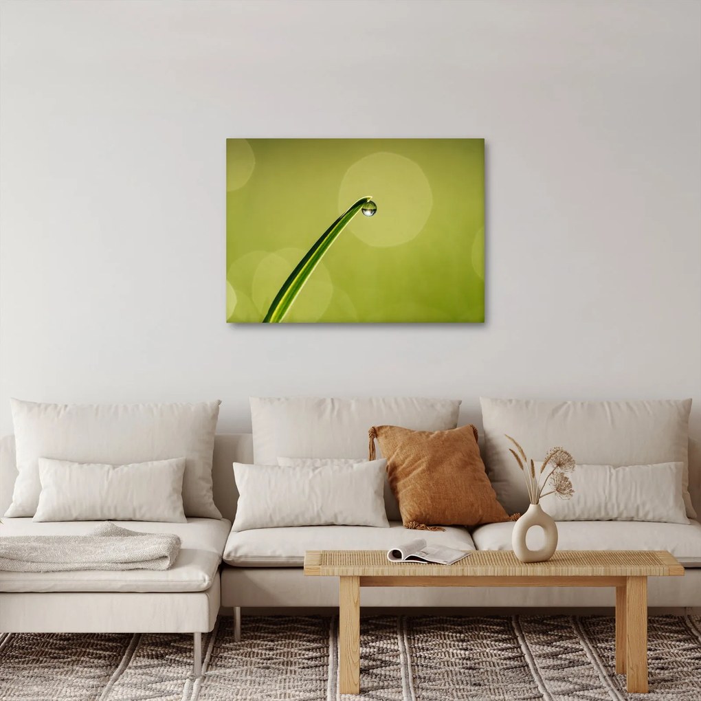 Tablou cu picătură de apă pe iarbă (70x50 cm)
