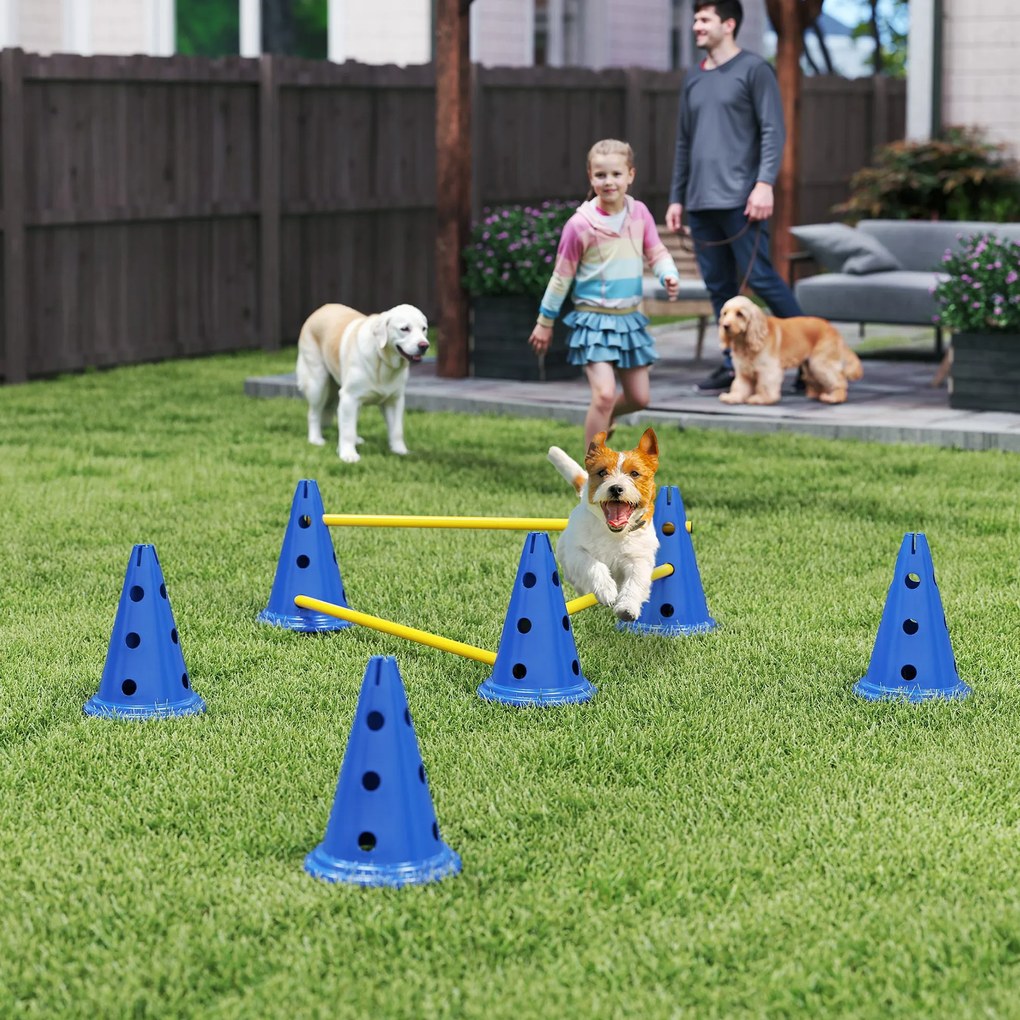 PawHut Set Agility pentru câini, echipament Agility 3 piese pentru dresajul câinilor, set cu 6 conuri, 3 obstacole, geantă de transport | Aosom Romania