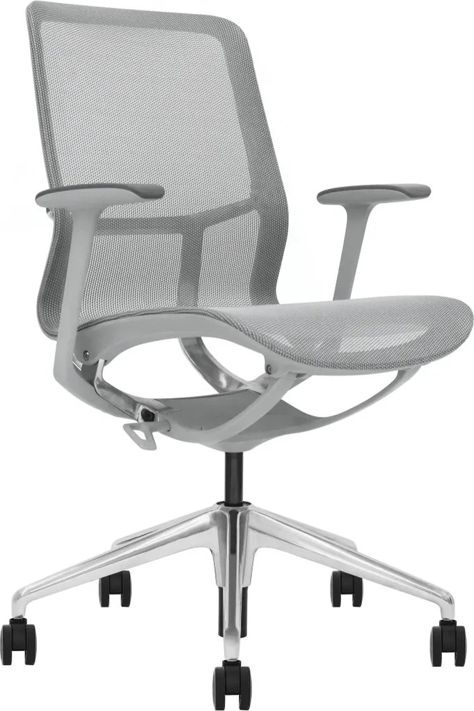 EMILY GREY – Scaun ergonomic premium, Mesh respirabil 4D, înclinare cu blocare, înălțime reglabila, cadru din nylon, bază din aluminiu, Gri