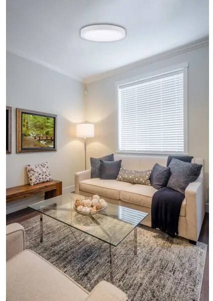 Plafonieră LED FENIX LED/24W/230V 3800K d. 29,8 cm alb zăpadă