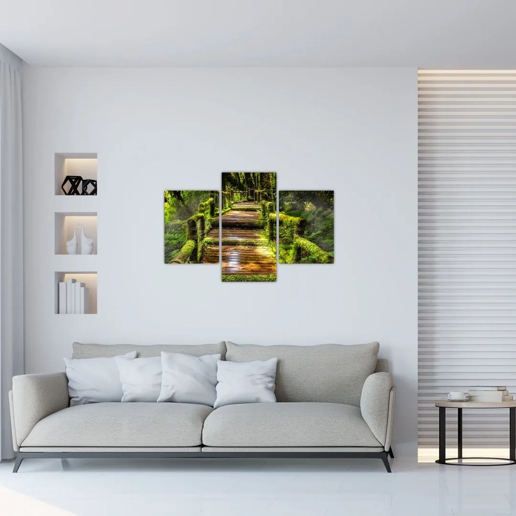 Tablou cu scări într-o pădure tropicală (90x60 cm)