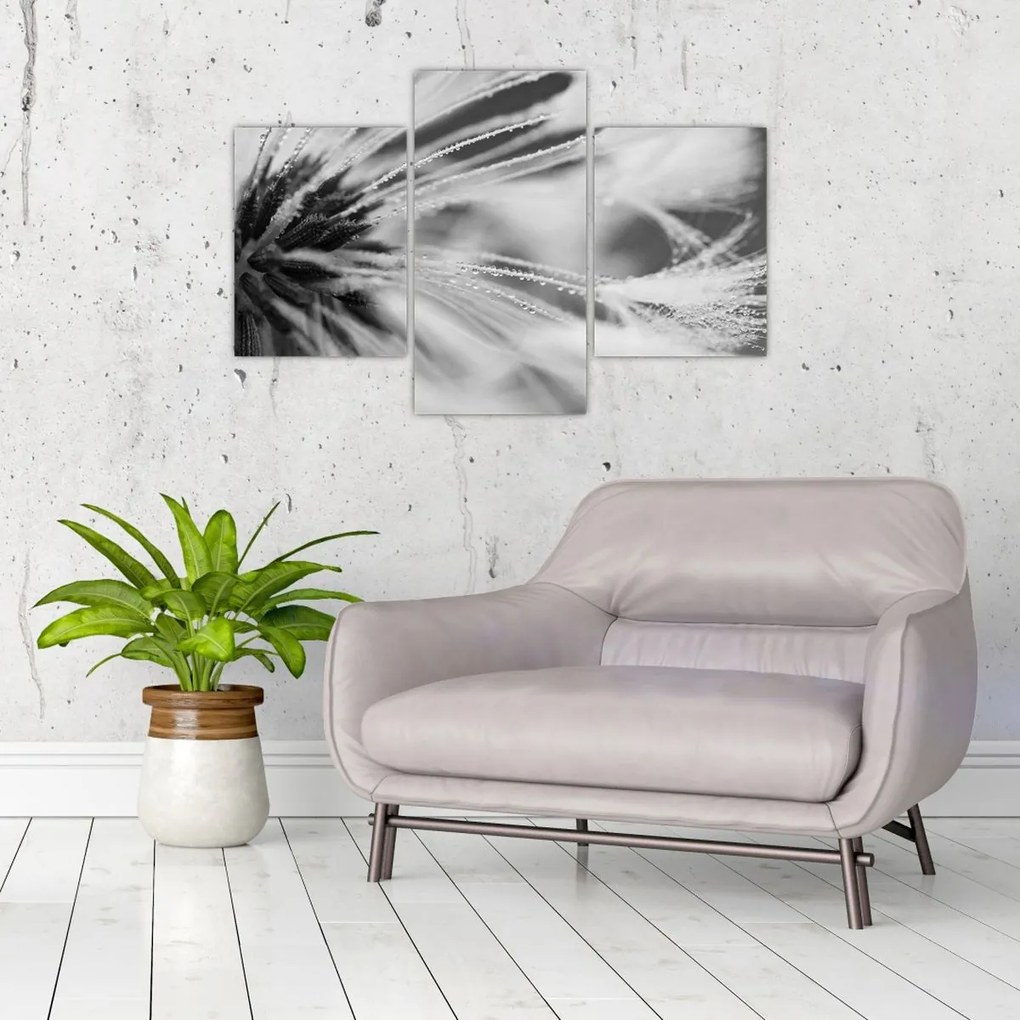 Tablou - Macro,alb-negru (90x60 cm)