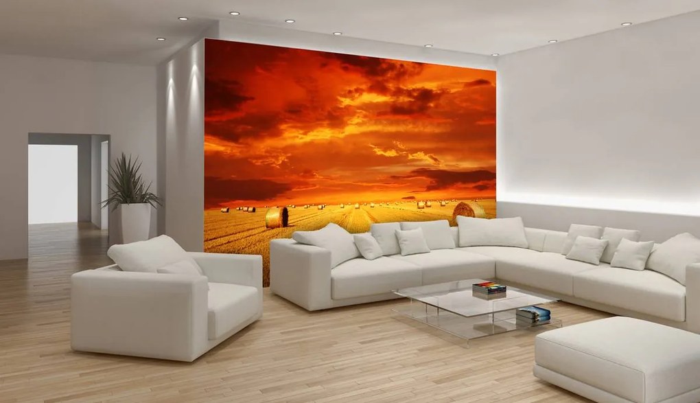 Fototapet - Câmp (152,5x104 cm)