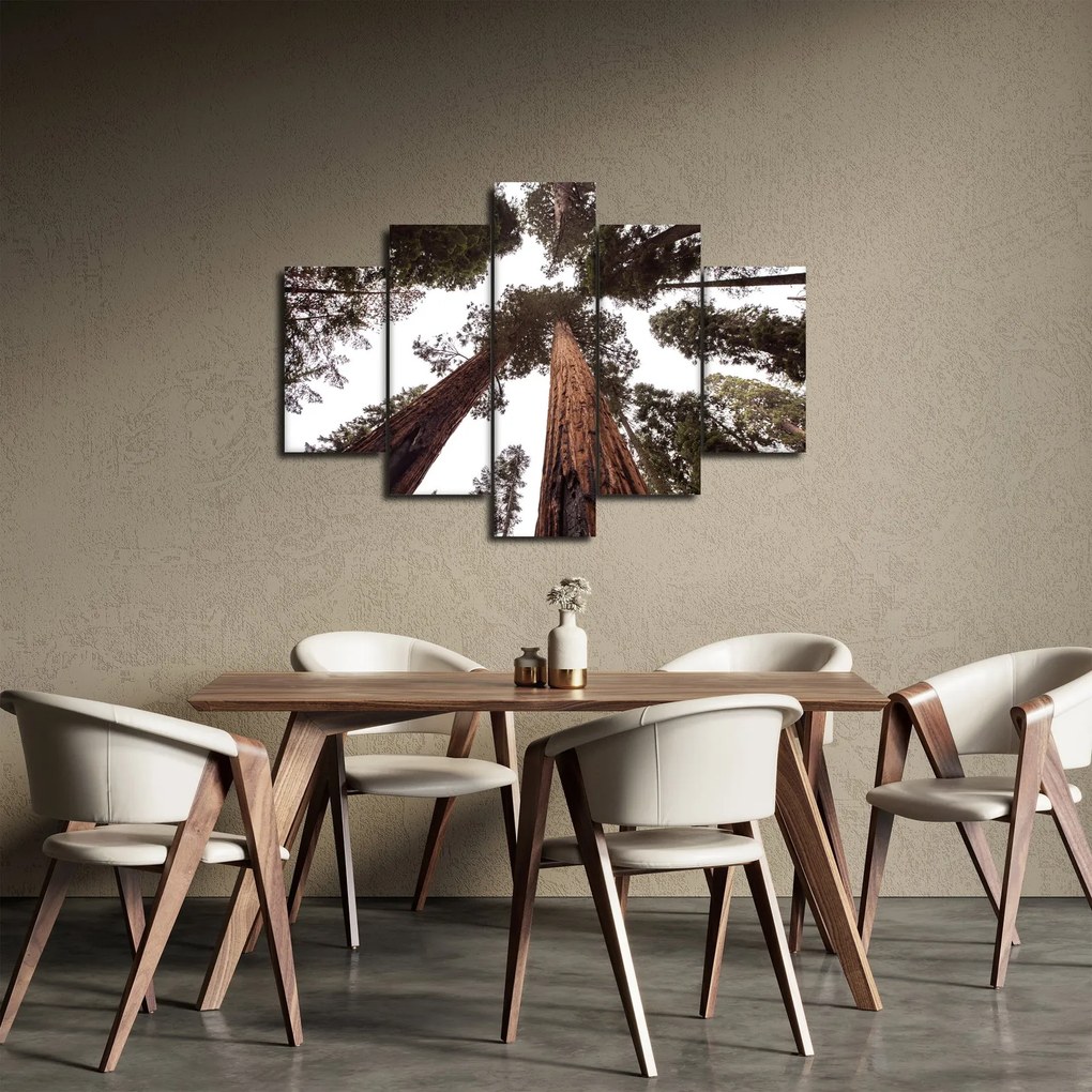 Tablou - Privire prin vârfurile copacilor (150x105 cm)