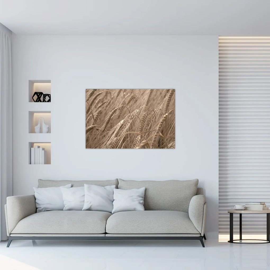 Tablou - Câmpul de aur (90x60 cm)