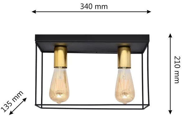 Plafonieră FINN 2xE27/15W/230V negru/auriu