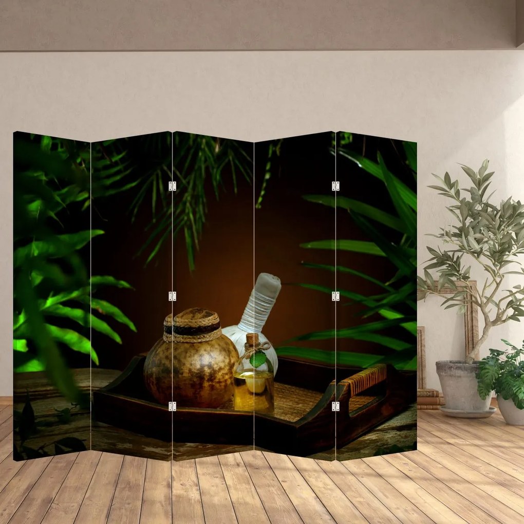 Paravan - Obiectele spa (210x170 cm)