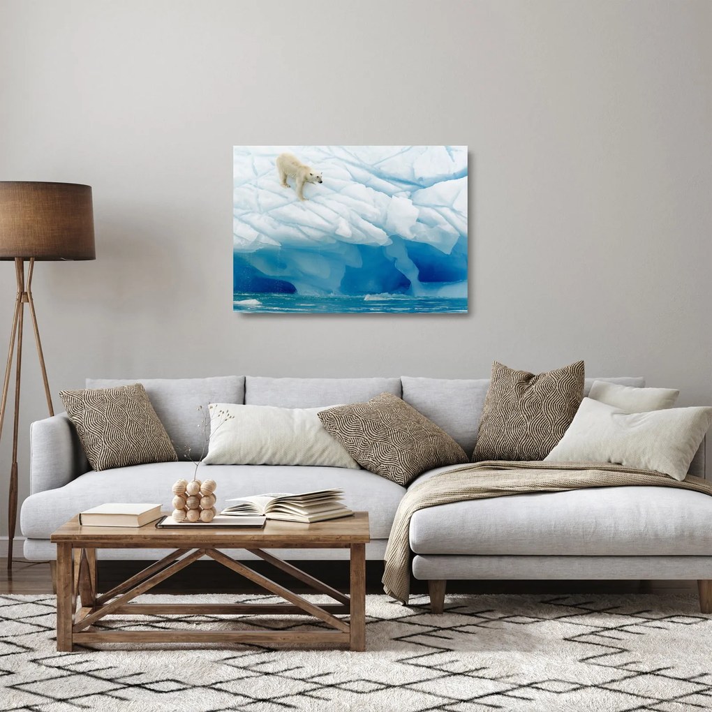 Tablou pe sticlă - Ursul polar (70x50 cm)