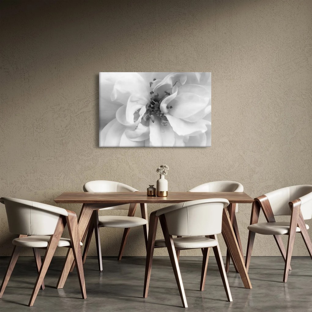 Tablou - Floare,alb-negru (90x60 cm)