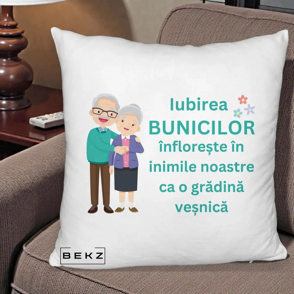 Cadou pentru Bunici - Perna Personalizata Bunicii Iubirea Infloreste Cuplu Senior Teal, 40x40 cm, Alb Pufos, Husa Detasabila, Perna Inclusa, BEKZ®