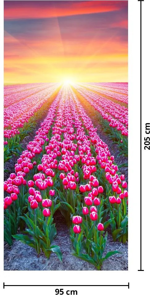 Fototapet pentru ușă - Câmp cu lalele și soare (95x205cm)