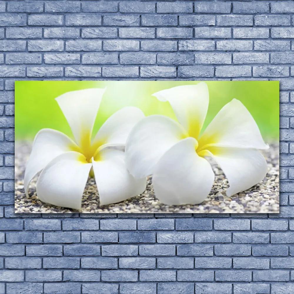 Tablouri acrilice Flori Floral alb