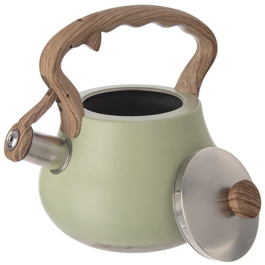 Orion Ceainic cu fluier Greenish, 3 l