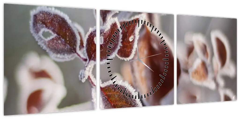 Tablou - Detaliu frunze (cu ceas) (90x30 cm)