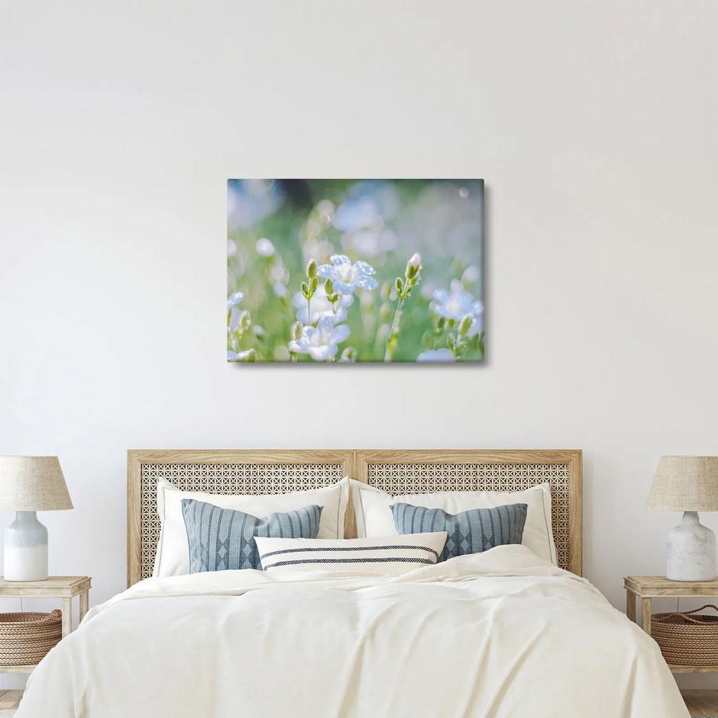 Tablou - Flori delicate (70x50 cm)
