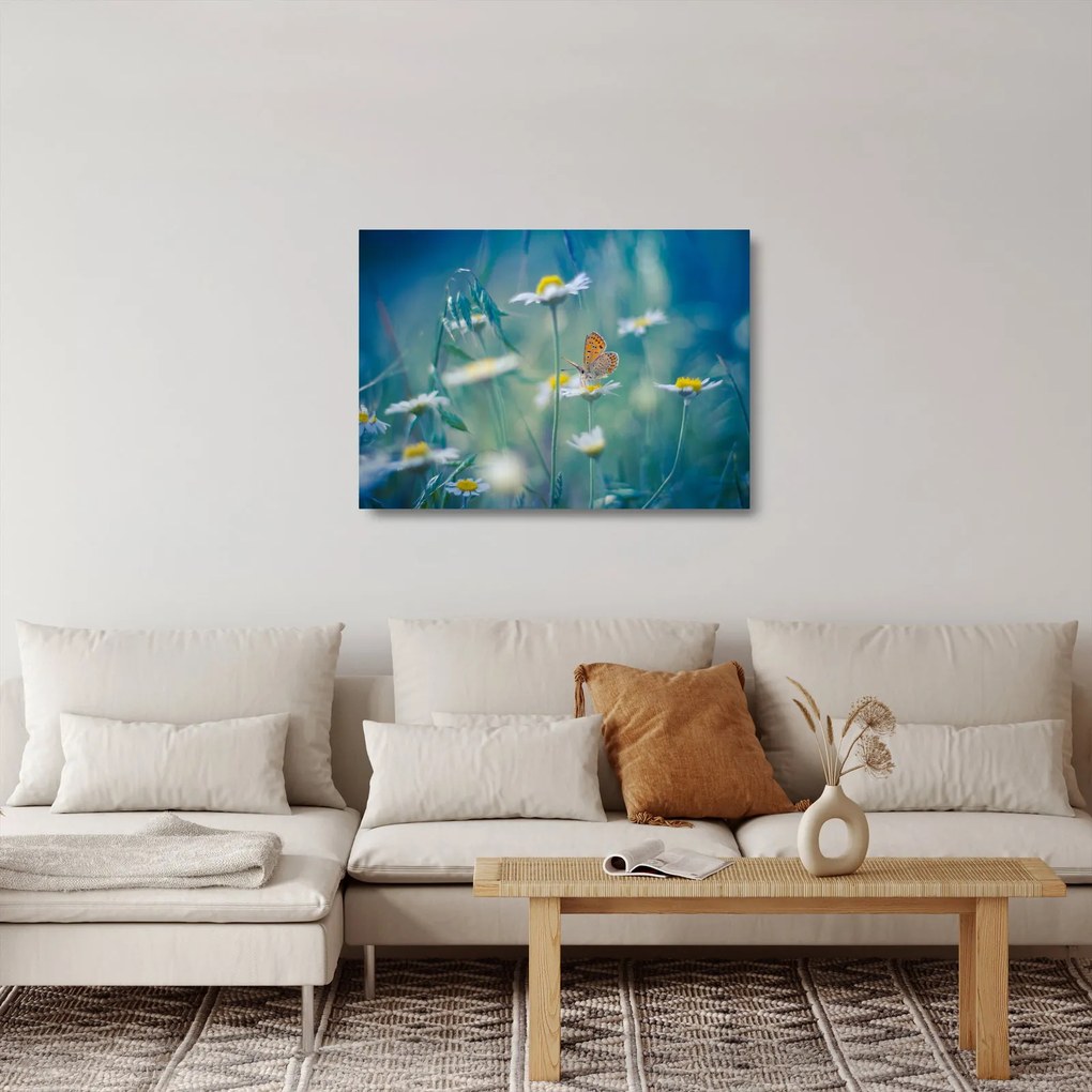 Tablou pe sticlă - Fluture pe margaretă (70x50 cm)