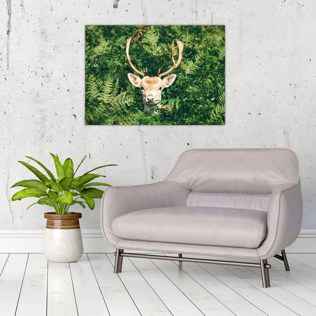 Tablou pe sticlă detaliu cu cap de căprioară (70x50 cm)