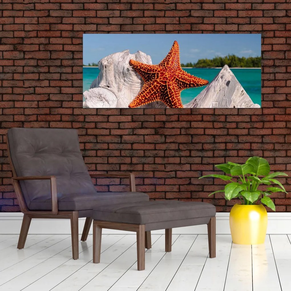 Tablou cu stea de mare (120x50 cm)