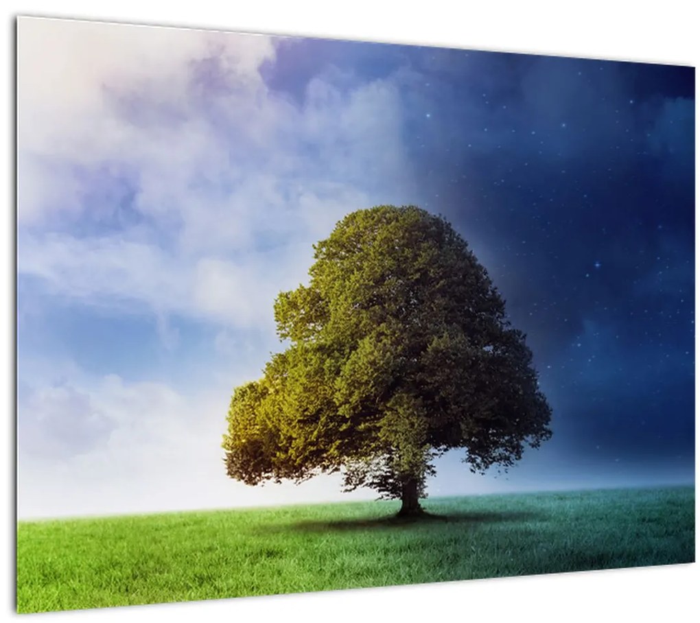 Tablou pe sticlă - Noapte și zi (70x50 cm)