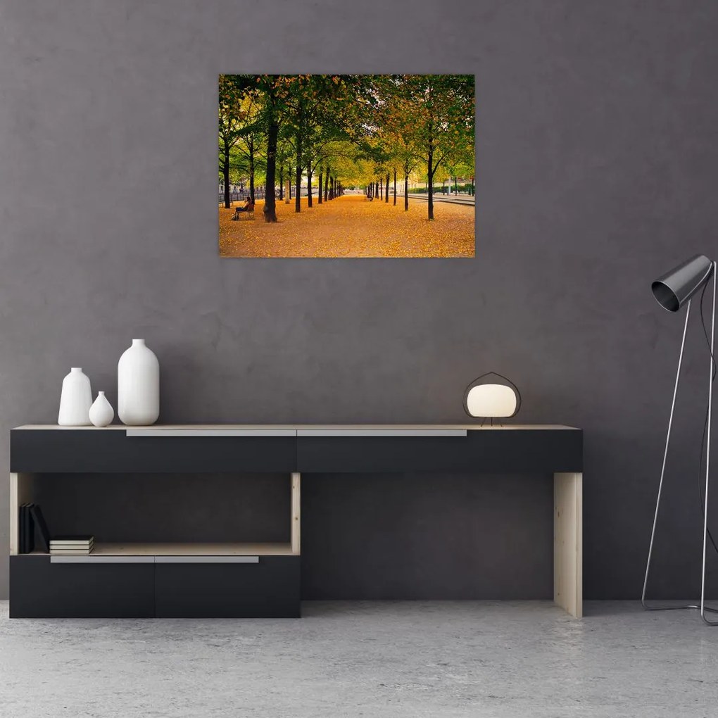 Tablou cu alee cu copaci în toamnă (70x50 cm)