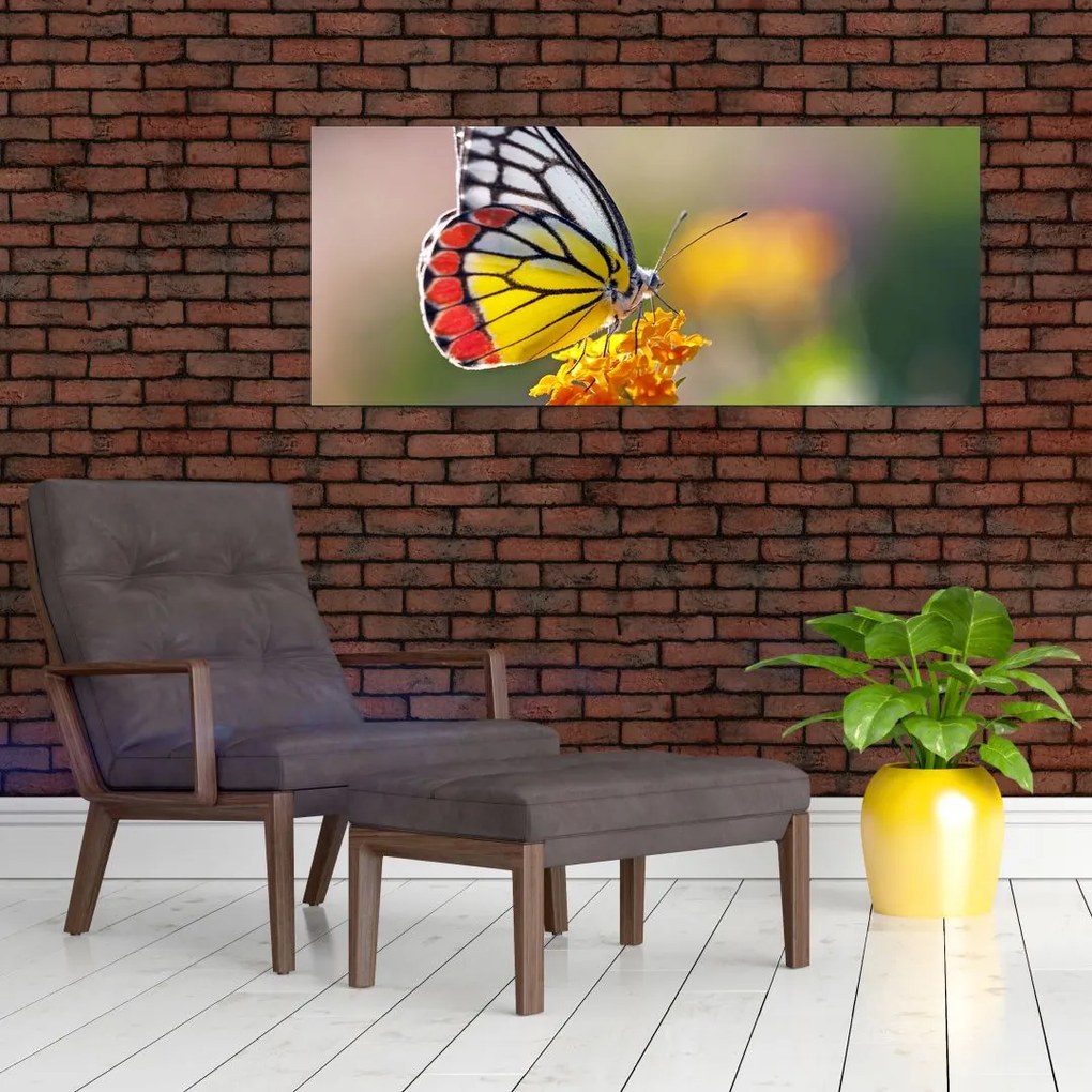 Tablou - Fluture pe floare (120x50 cm)