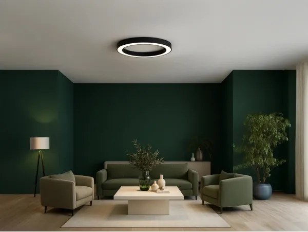 Plafonieră LED, 100 W, 230 V, 3000/4000/6500 K, Ø 100 cm, neagră