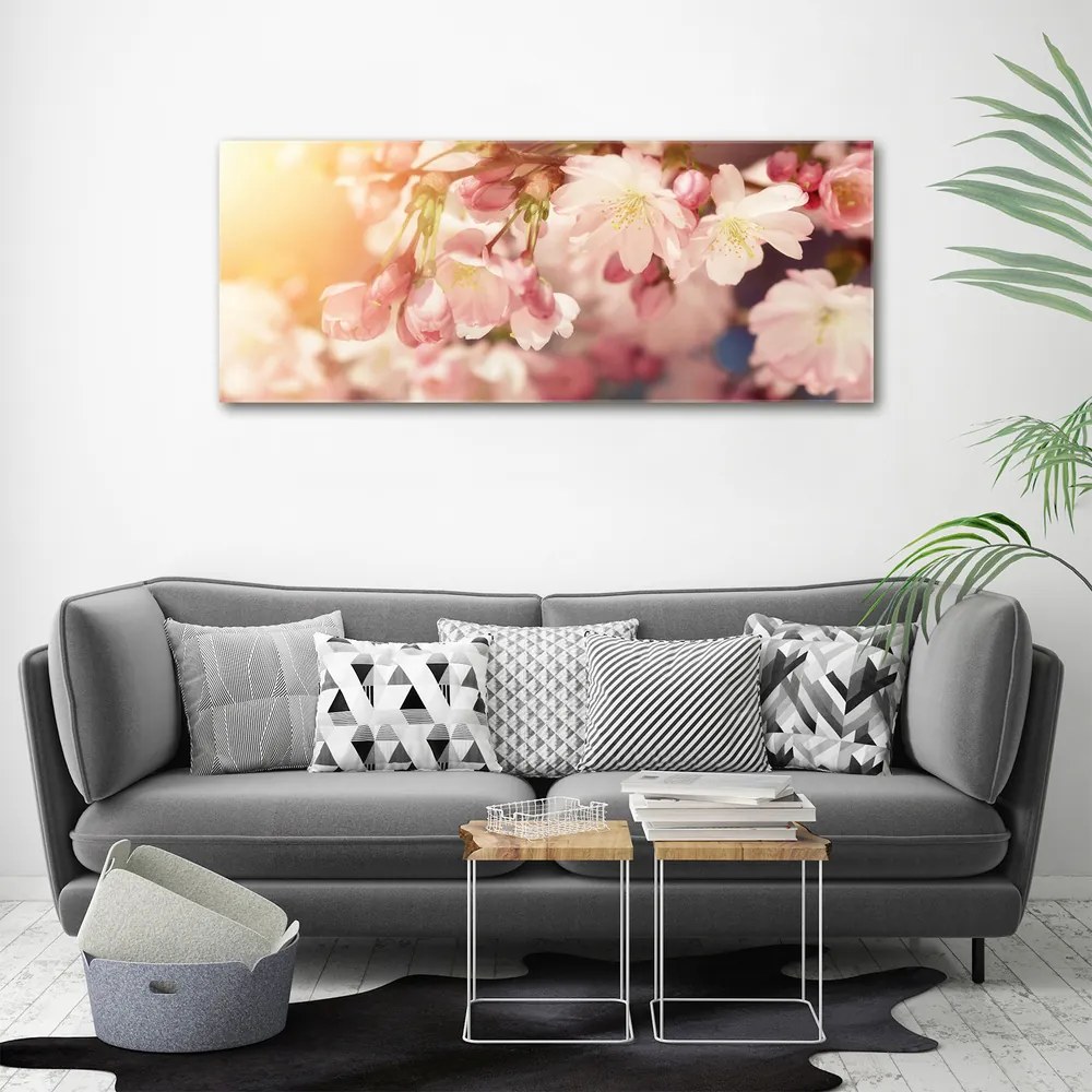 Print pe canvas Flori de cireș