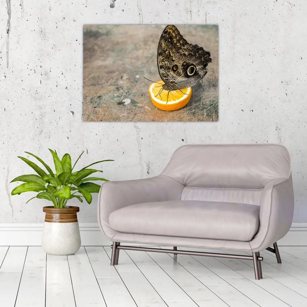 Tablou pe sticlă cu fluturi (70x50 cm)
