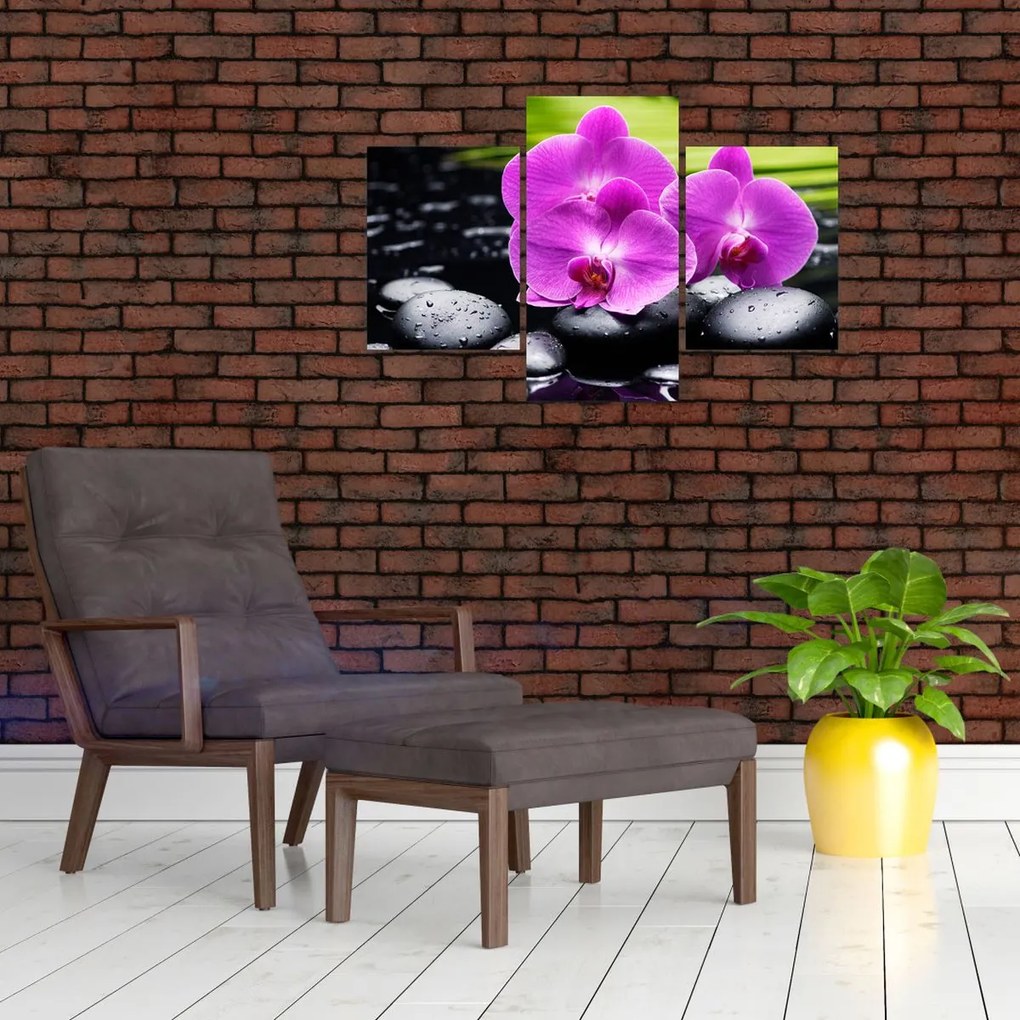 Tablou - Orhidee (90x60 cm)